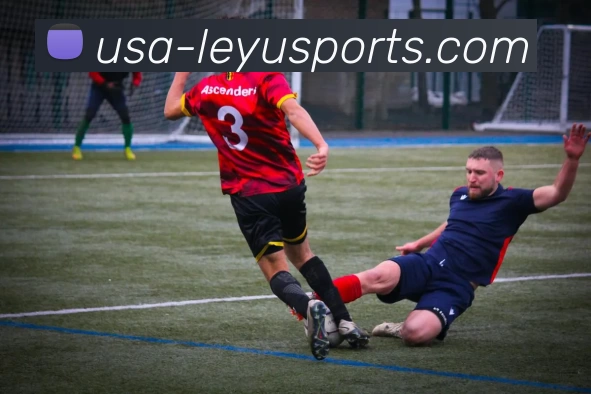 乐鱼最新版APP 封面图